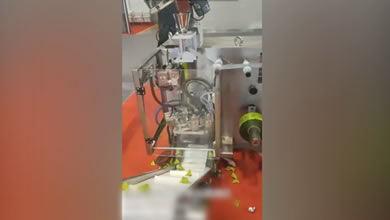 Automatic Triangle Bag Packing Machine for Large Pills