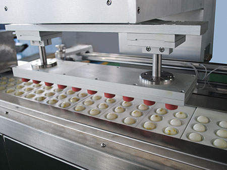 Automatic Wax Shell Printing Machine (for traditional Chinese medicine pills)
